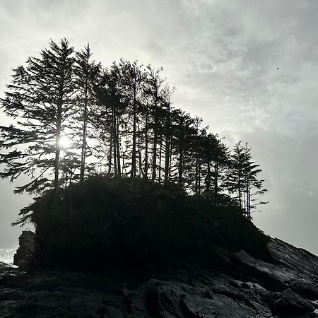 Vila Bjorn Holm Port Renfrew Exteriér fotografie