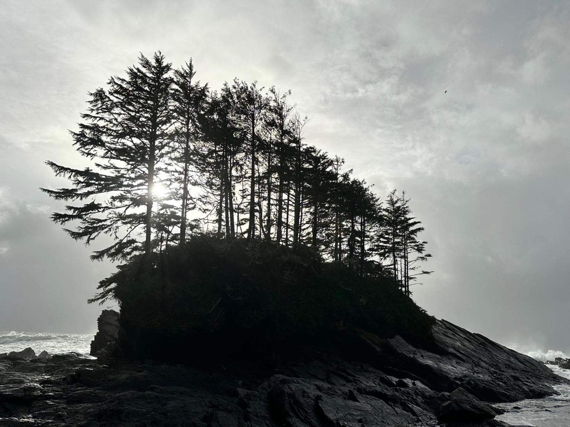 Vila Bjorn Holm Port Renfrew Exteriér fotografie