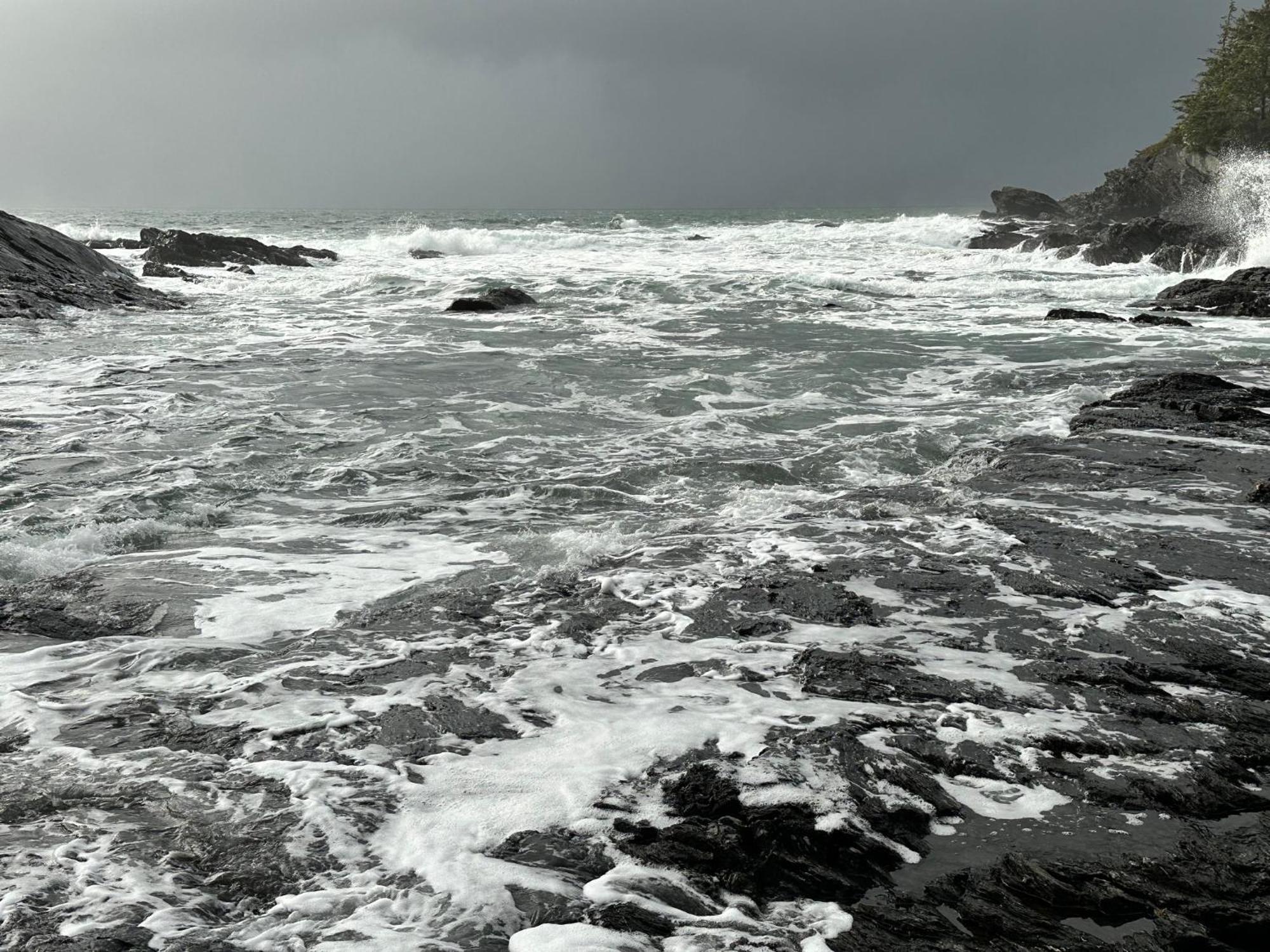 Vila Bjorn Holm Port Renfrew Exteriér fotografie