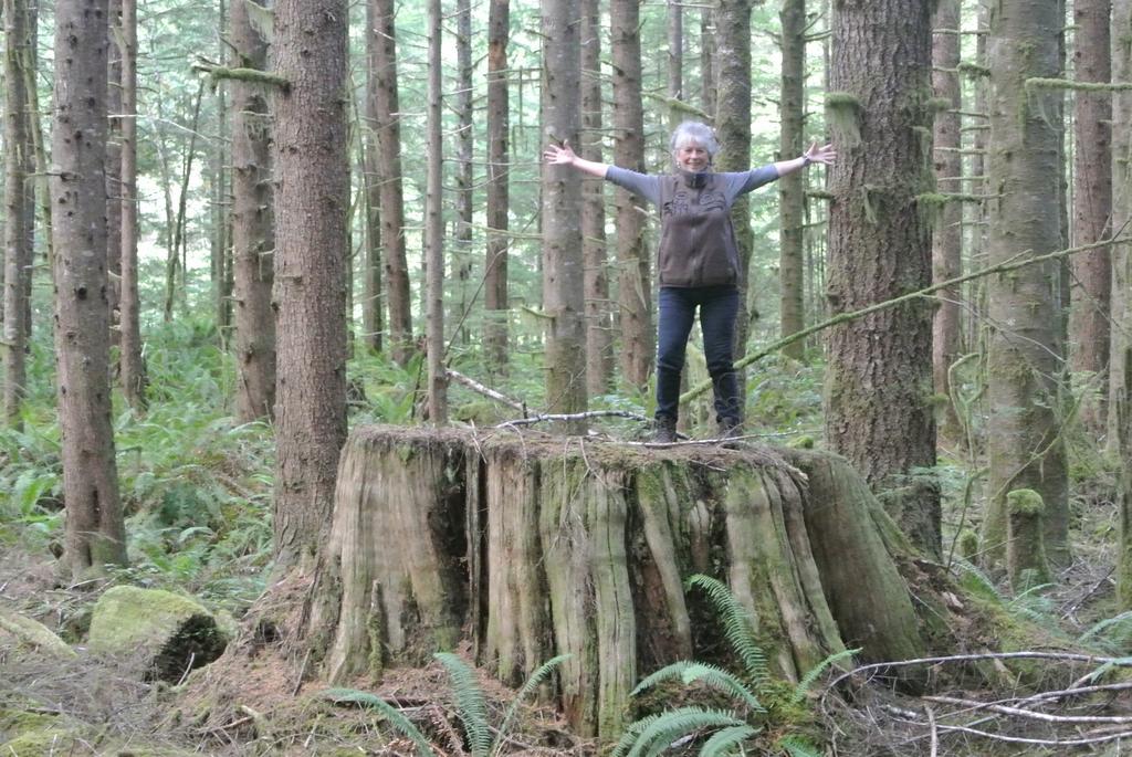 Vila Bjorn Holm Port Renfrew Exteriér fotografie